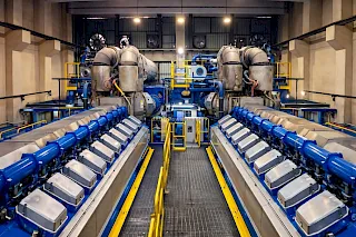 Multifuel 19.5 MW / 50Hz Wartsila CHP Power Plant with 2 x 20V34DF (2021)